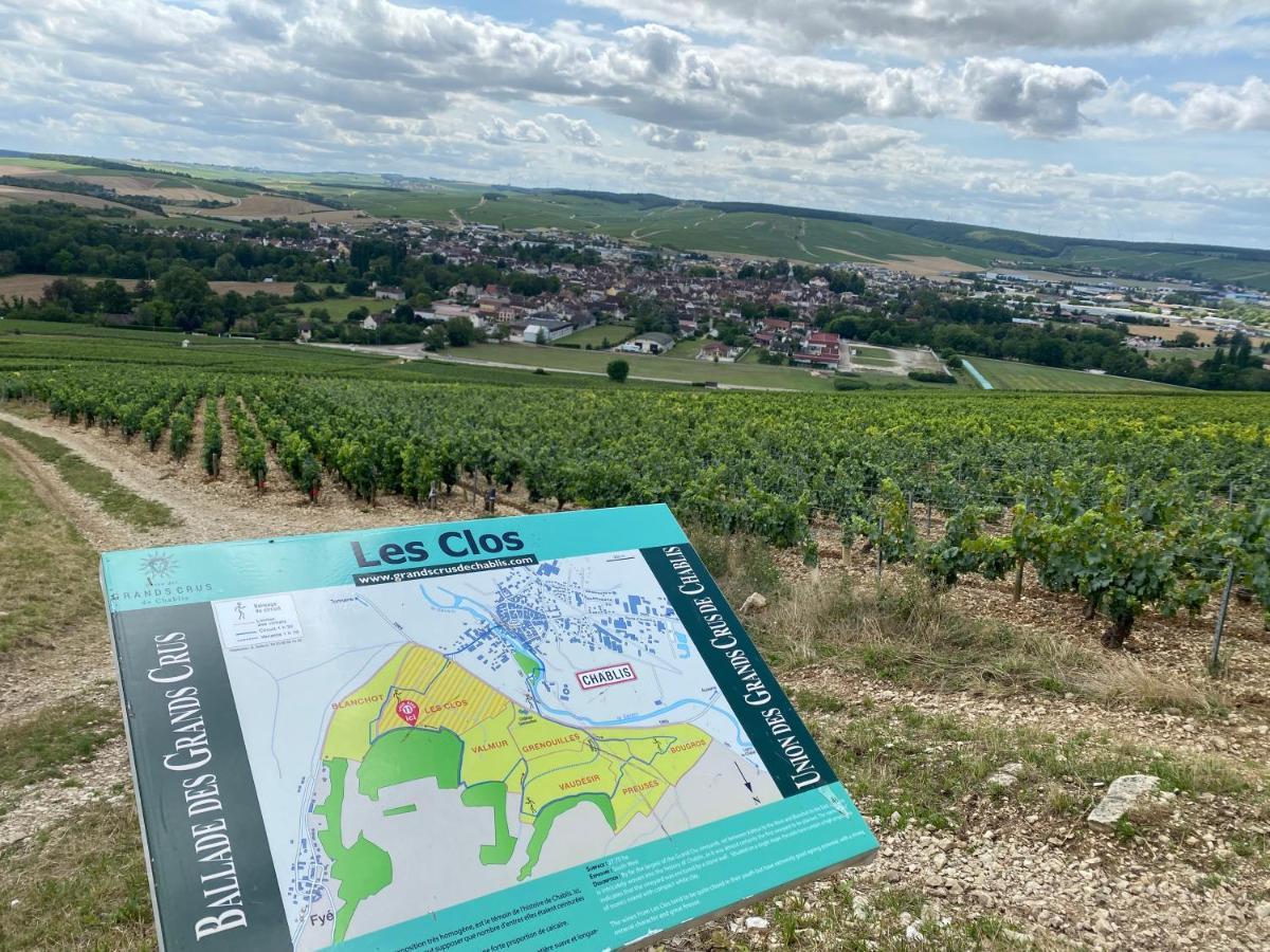 Le Cristallin Gite Plein Coeur De Chablis Extérieur photo